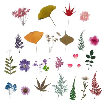 1db Préselt Virág Levelek Növényi Minta Fillér Epoxi Gyanta Ékszer Készítés